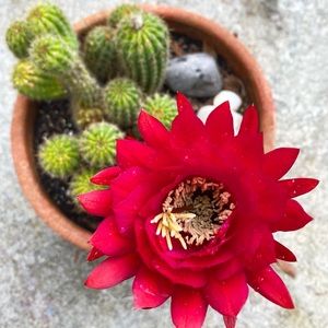 Meet your Posher, Lori